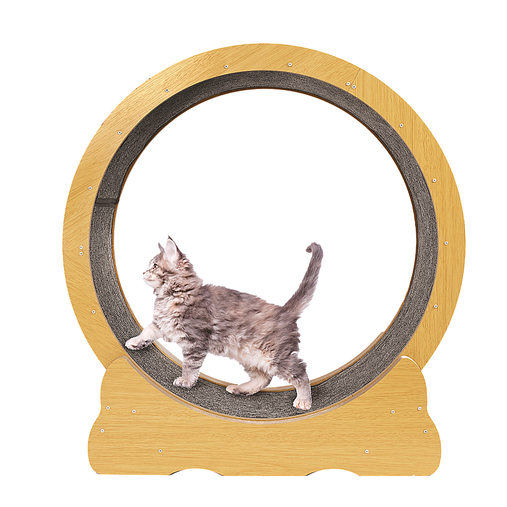 Cat Toys: Cat Running Wheel w/ Carpet Runway Cat Exercise Wheel for Fitness Cat Treadmill