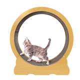 Cat Toys: Cat Running Wheel w/ Carpet Runway Cat Exercise Wheel for Fitness Cat Treadmill