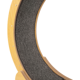 Cat Toys: Cat Running Wheel w/ Carpet Runway Cat Exercise Wheel for Fitness Cat Treadmill