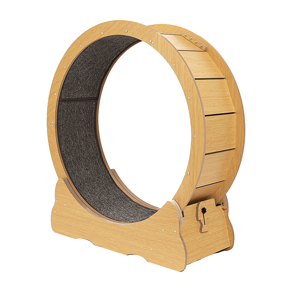 Cat Toys: Cat Running Wheel w/ Carpet Runway Cat Exercise Wheel for Fitness Cat Treadmill