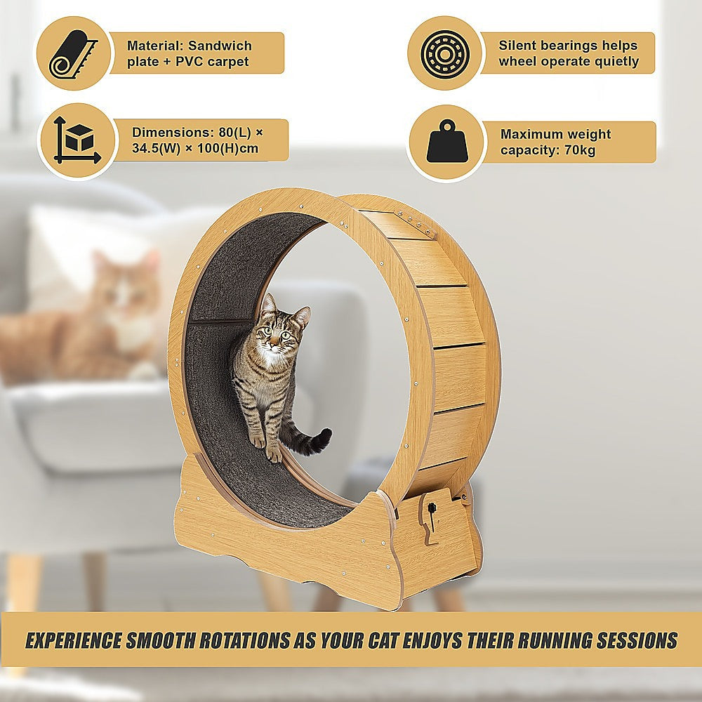 Cat Toys: Cat Running Wheel w/ Carpet Runway Cat Exercise Wheel for Fitness Cat Treadmill