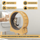 Cat Toys: Cat Running Wheel w/ Carpet Runway Cat Exercise Wheel for Fitness Cat Treadmill