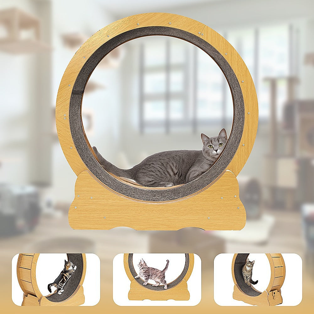 Cat Toys: Cat Running Wheel w/ Carpet Runway Cat Exercise Wheel for Fitness Cat Treadmill