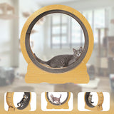 Cat Toys: Cat Running Wheel w/ Carpet Runway Cat Exercise Wheel for Fitness Cat Treadmill