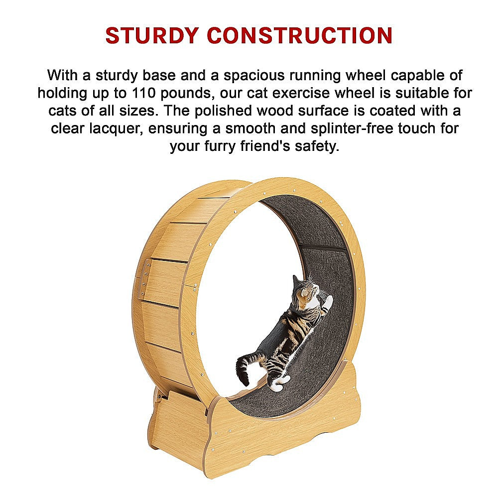 Cat Toys: Cat Running Wheel w/ Carpet Runway Cat Exercise Wheel for Fitness Cat Treadmill