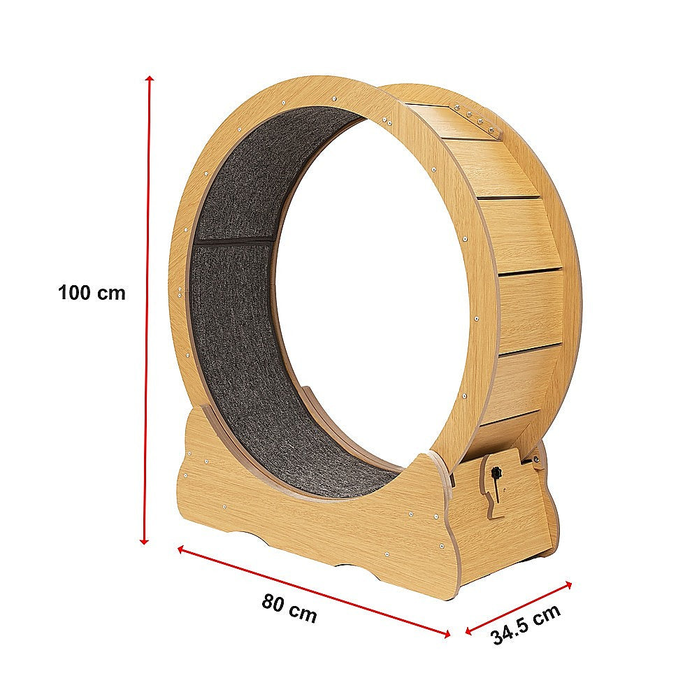 Cat Toys: Cat Running Wheel w/ Carpet Runway Cat Exercise Wheel for Fitness Cat Treadmill