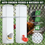 Pet Grooming Supplies: Chicken Bird Feeder Water Dispenser Automatic Waterer Poultry Food Drinker 4L