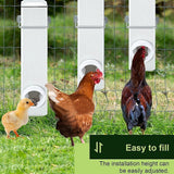 Pet Grooming Supplies: Chicken Bird Feeder Water Dispenser Automatic Waterer Poultry Food Drinker 4L