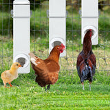 Pet Grooming Supplies: Chicken Bird Feeder Water Dispenser Automatic Waterer Poultry Food Drinker 4L