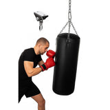 Back Care: Silent Swing Hanger Heavy Duty Stainless Steel Swing Hook with Swivel Bearing