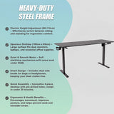 Desks: 160cm Electric Standing Desk  Height Adjustable Sit Stand Office Table in Black
