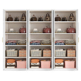 240x200cm 6-Door White Steel Shelf Wardrobe with Gold Handle Storage Cabinet