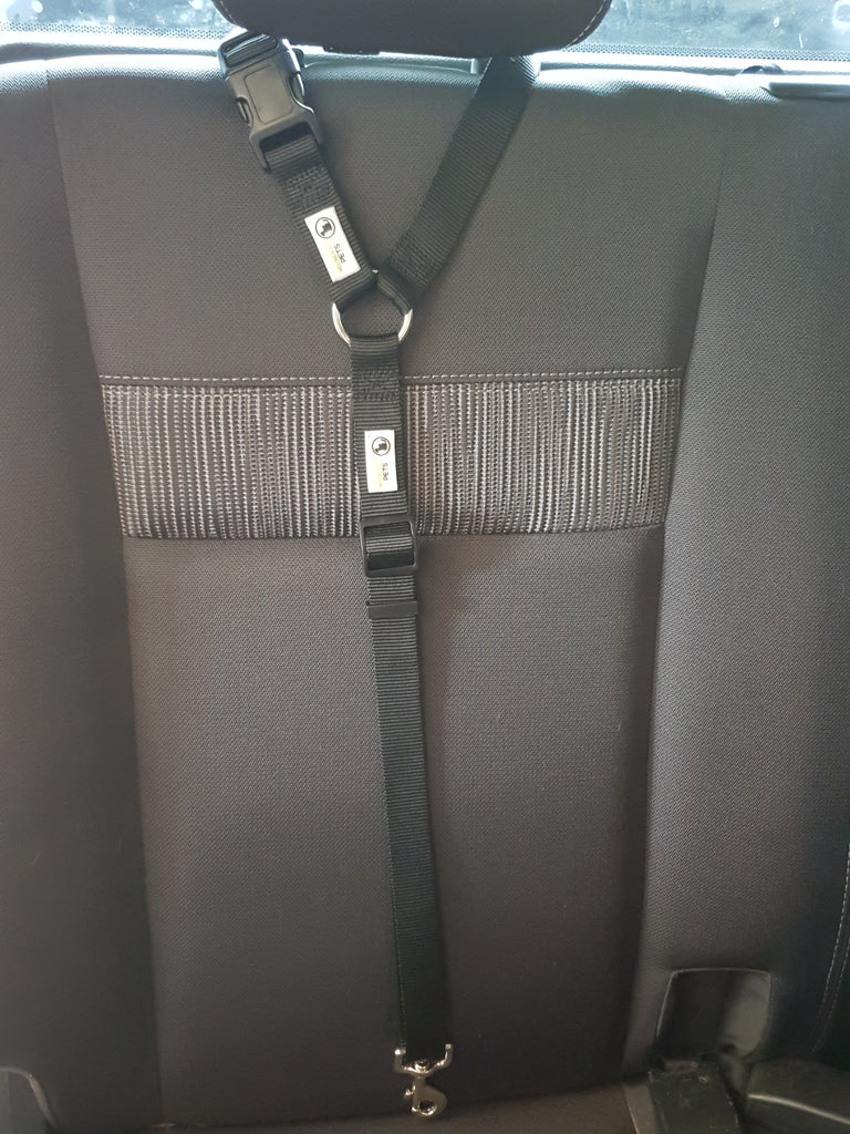Cat Carriers & Crates: Dog Seatbelt Headrest Restraint Safety Travel - Moondidley Pets Black