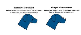 Dog Muzzles: Dog Muzzle - Soft Anti Biting/Scavenging - Moondidley Pets Size 5