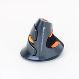 Mouse & Accessories: Delux Vertical Ergonomic Mouse