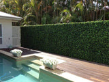 Caravan Accessories: Luxury Spring Sensation Hedge Screen Green Wall Panel UV Resistant 100cm x 100cm