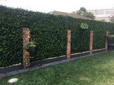 Caravan Accessories: Luxury Spring Sensation Hedge Screen Green Wall Panel UV Resistant 100cm x 100cm