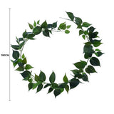 Long Philodendron Garland 190cm