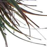 Artificial Flowers & Plants: Artificial Brown Tipped Grass Plant UV Resistant 35cm
