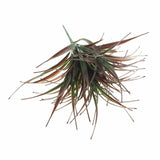 Artificial Flowers & Plants: Artificial Brown Tipped Grass Plant UV Resistant 35cm
