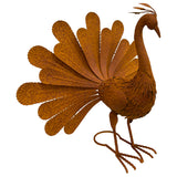 Rust Proud Standing Peacock Statue 63x51cm