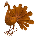 Rust Proud Standing Peacock Statue 63x51cm
