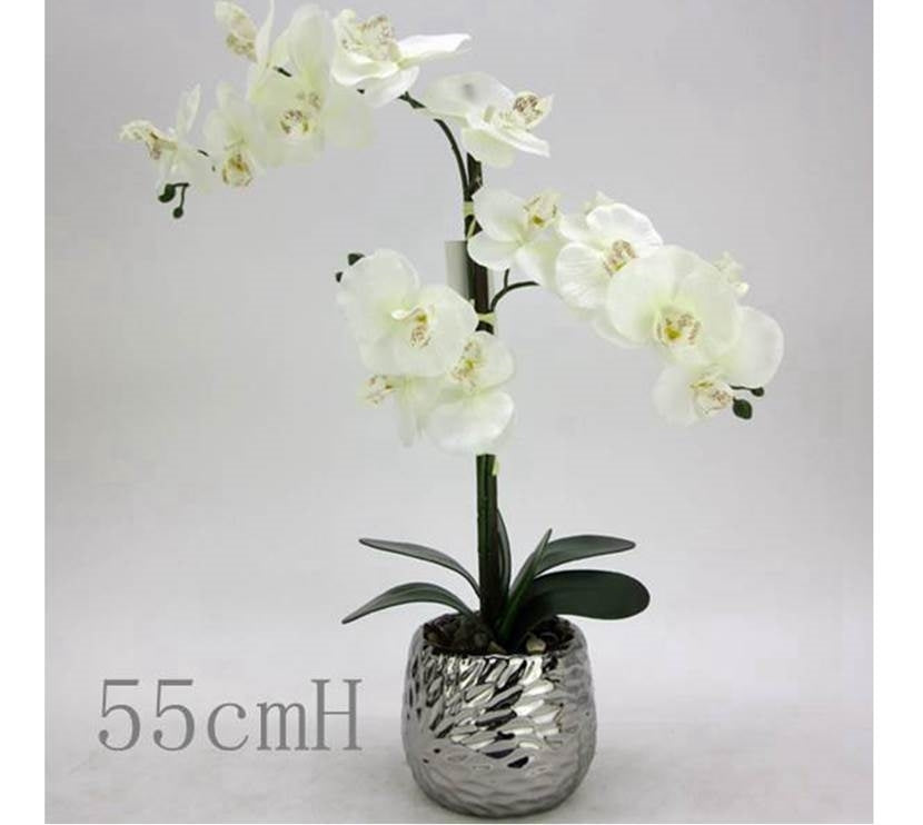 Artificial Flowers & Plants: Artificial White Orchid in Silver Pot 56cm