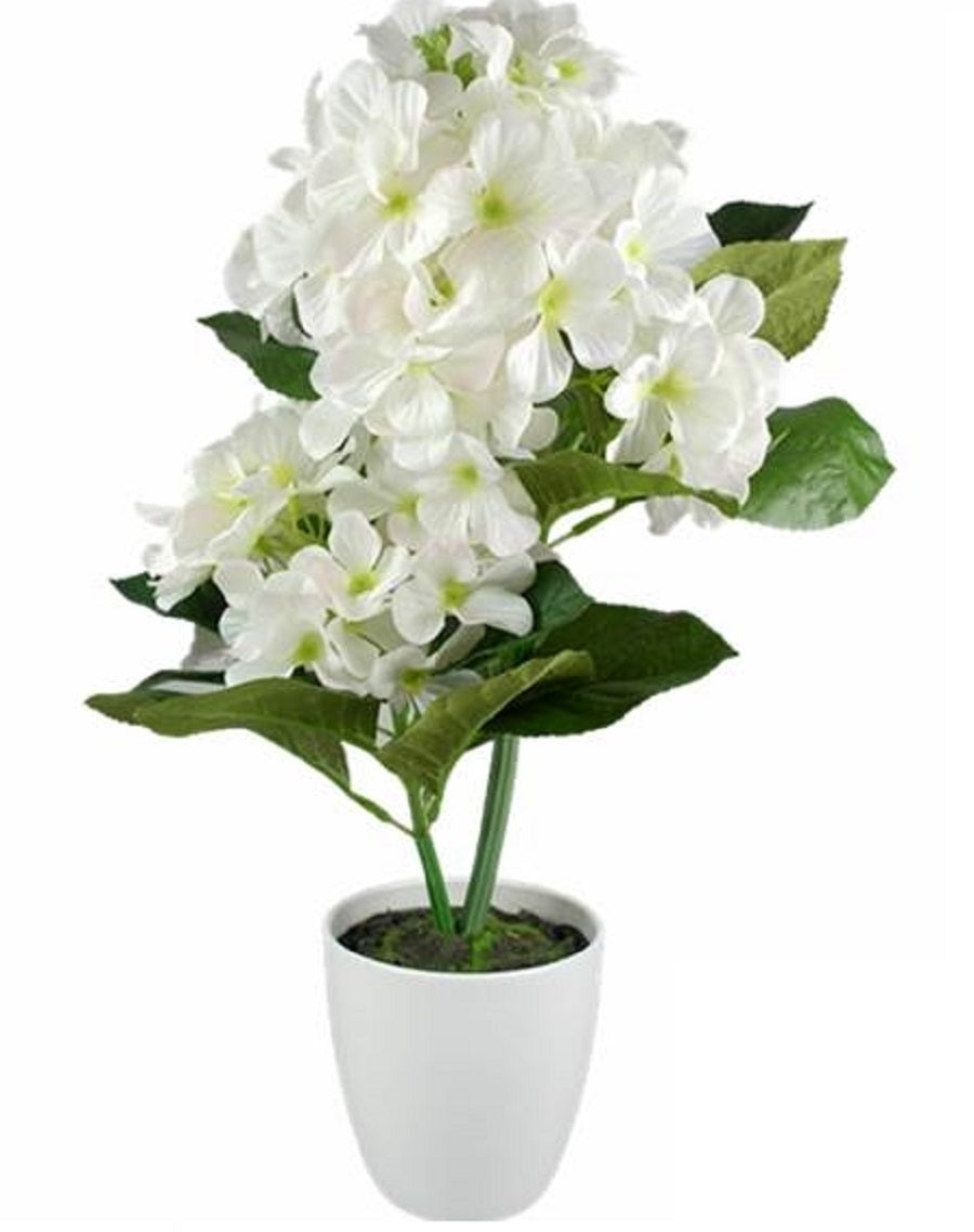 Artificial Flowers & Plants: Artificial White Hydranger in White Plastic Pot 10x46cm