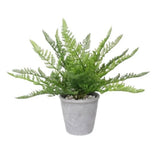Artificial Flowers & Plants: Artificial Fern Plant in Pot 35cm