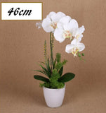 Artificial Flowers & Plants: Artificial One Stem Orchid In Plastic Pot 10x46cm