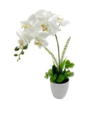 Artificial Flowers & Plants: Artificial One Stem Orchid In Plastic Pot 10x46cm