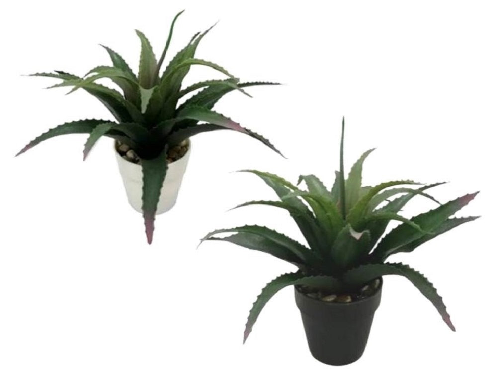 Artificial Flowers & Plants: Set 2 Aloe Vera Plant In Plastic Pot 7x25cm