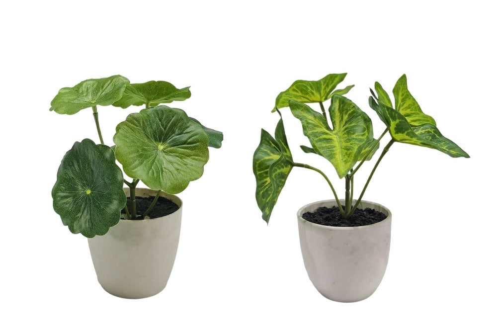 Artificial Potted Plants: Set 2 Artificial Taro & Lotus Plant In Plastic Pot 7x15cm