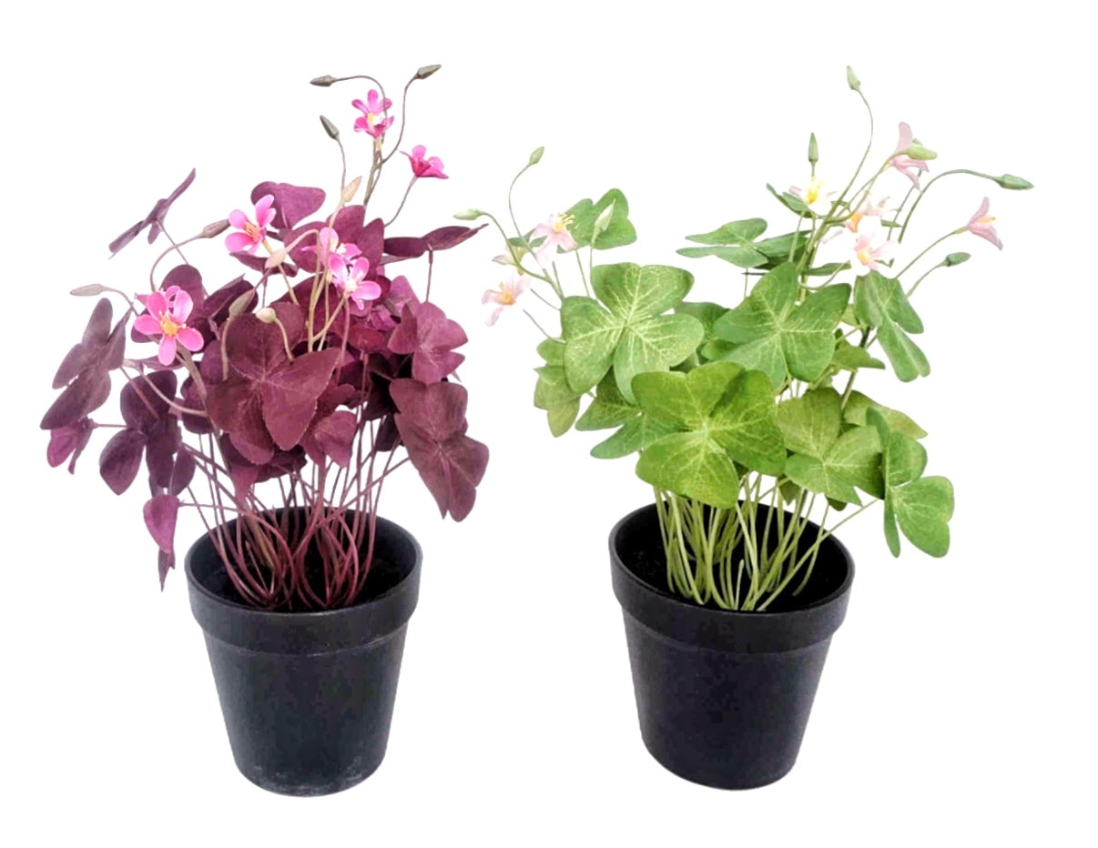 Artificial Flowers & Plants: Set 2 Artificial Oxalis Triangularis Plant In Plastic Pot 10x35cm