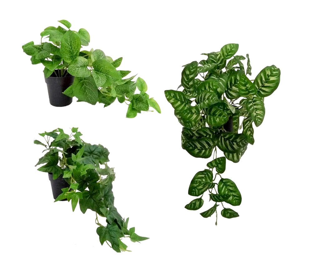 Artificial Flowers & Plants: Set 3 Artificial Peacock in Pot Assort 38cm