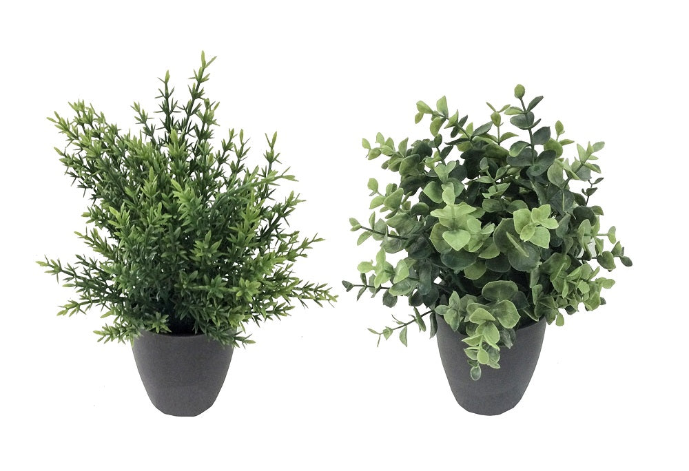 Artificial Flowers & Plants: Set 2 Artificial Grass in Pot Assort 25cm