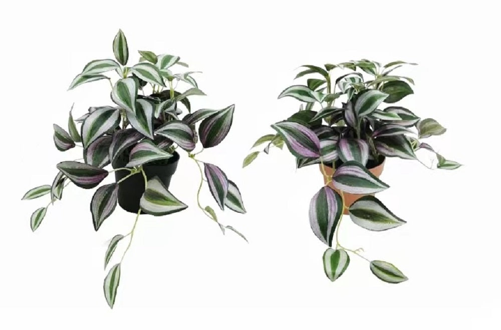 Artificial Flowers & Plants: Set 2 Artificial Inch Plant in Pot Assorted 23cm
