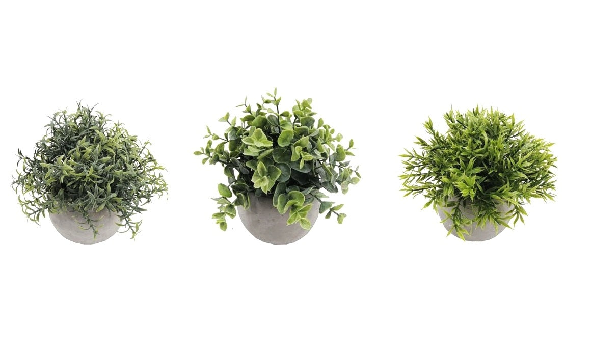 Artificial Flowers & Plants: Set 3 Artificial Plant in Cement Pot Assort 18cm