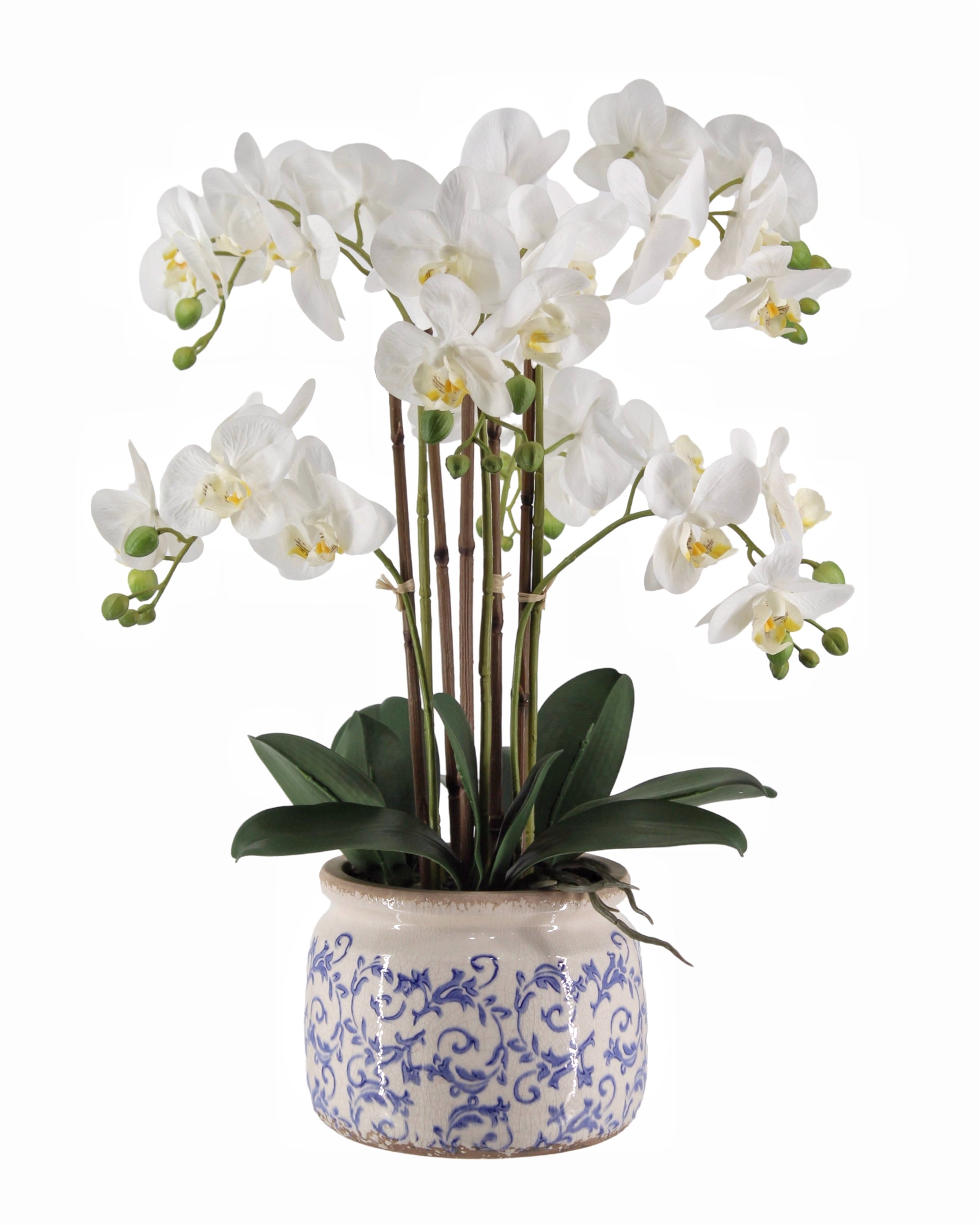 Artificial Flowers & Plants: Real Touch Artificial Orchid in Pot 61cm