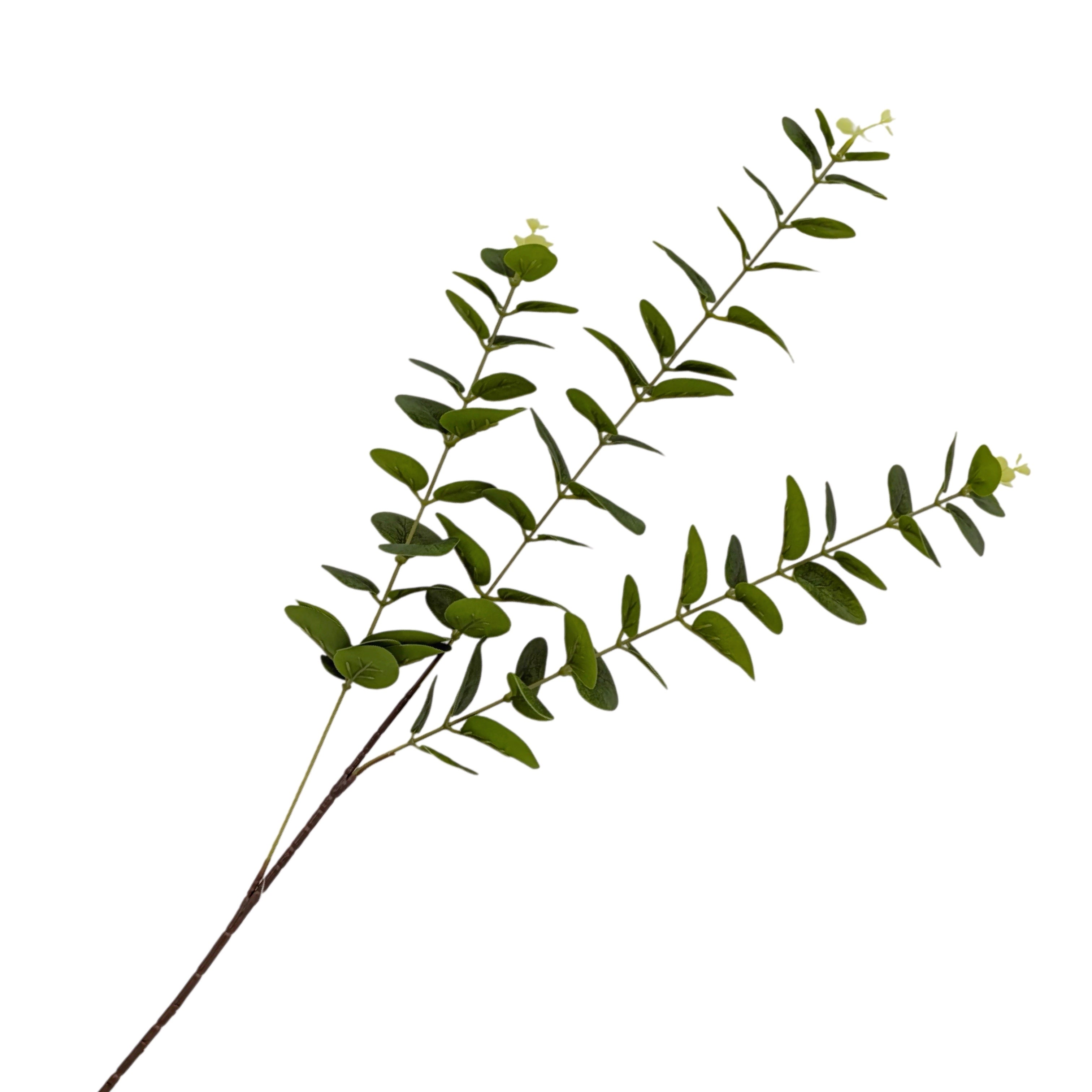 Artificial Flowers & Plants: bulk 24 Artificial Eucalyptus Stem 3 Branches 2 Assort 80cm