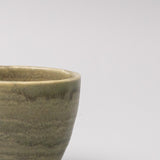 Teas & Accessories: Mug 250ml Washed Fern