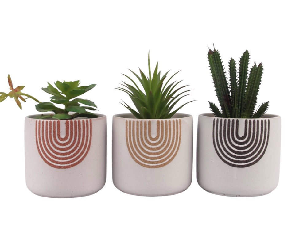 Pots, Planters & Accessories: Set 3 Rainbow Ceramic Pot Planter 13cm