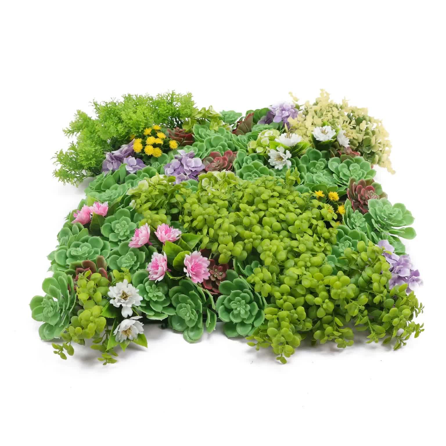 Artificial Dense Succulent Green Wall / Vertical Garden Panel 50cm x 50cm UV Resistant