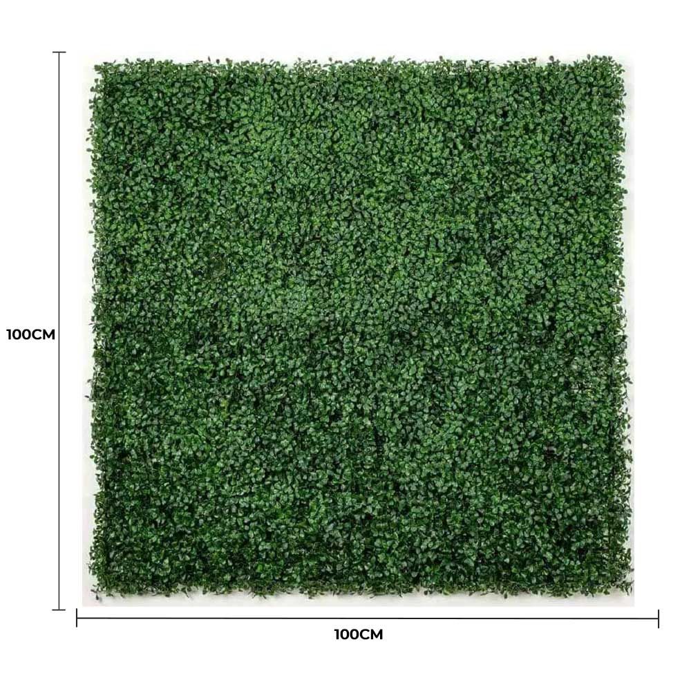 Caravan Accessories: Boxwood Hedge Screen Green Wall Panel UV Resistant 100cm x 100cm