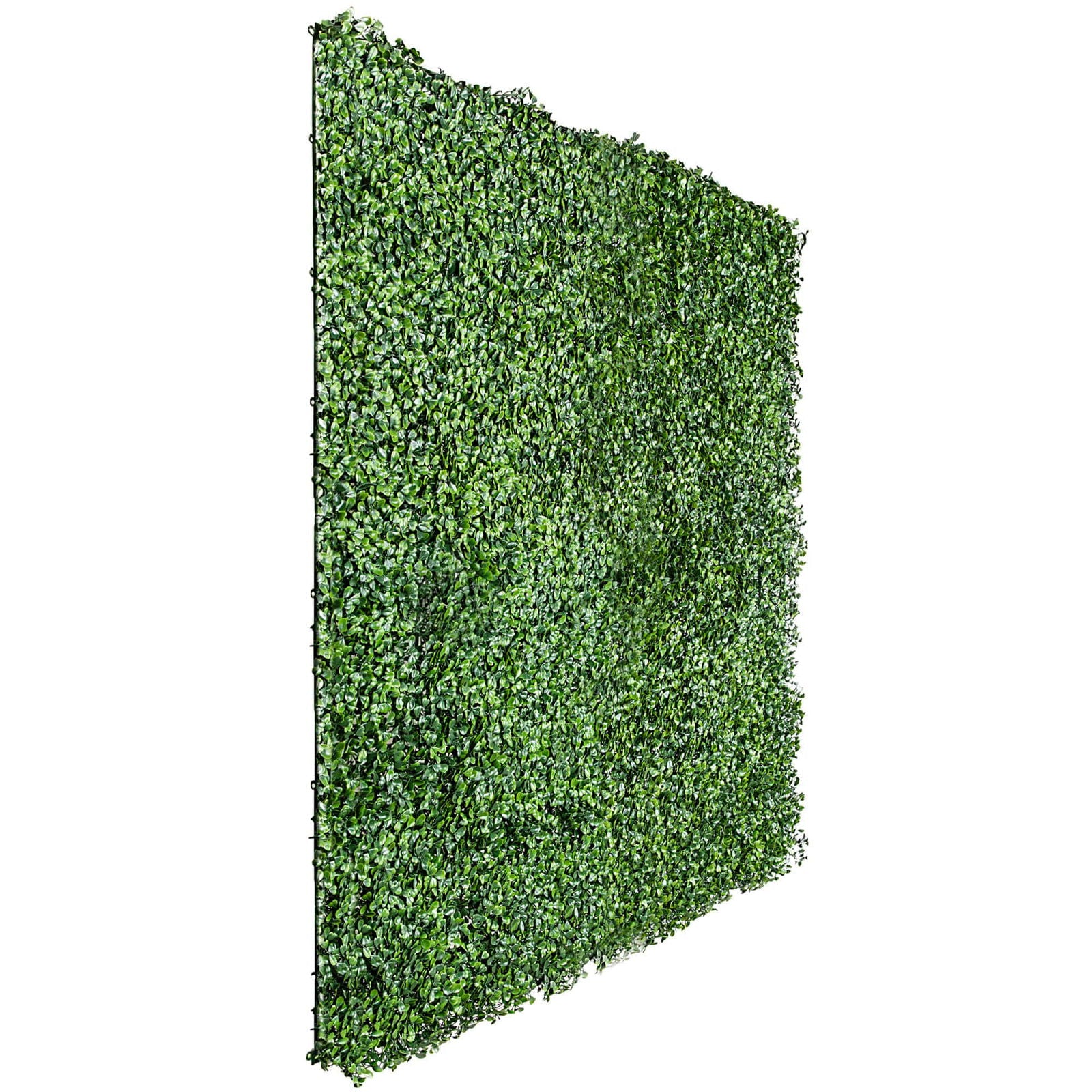 Caravan Accessories: Boxwood Hedge Screen Green Wall Panel UV Resistant 100cm x 100cm