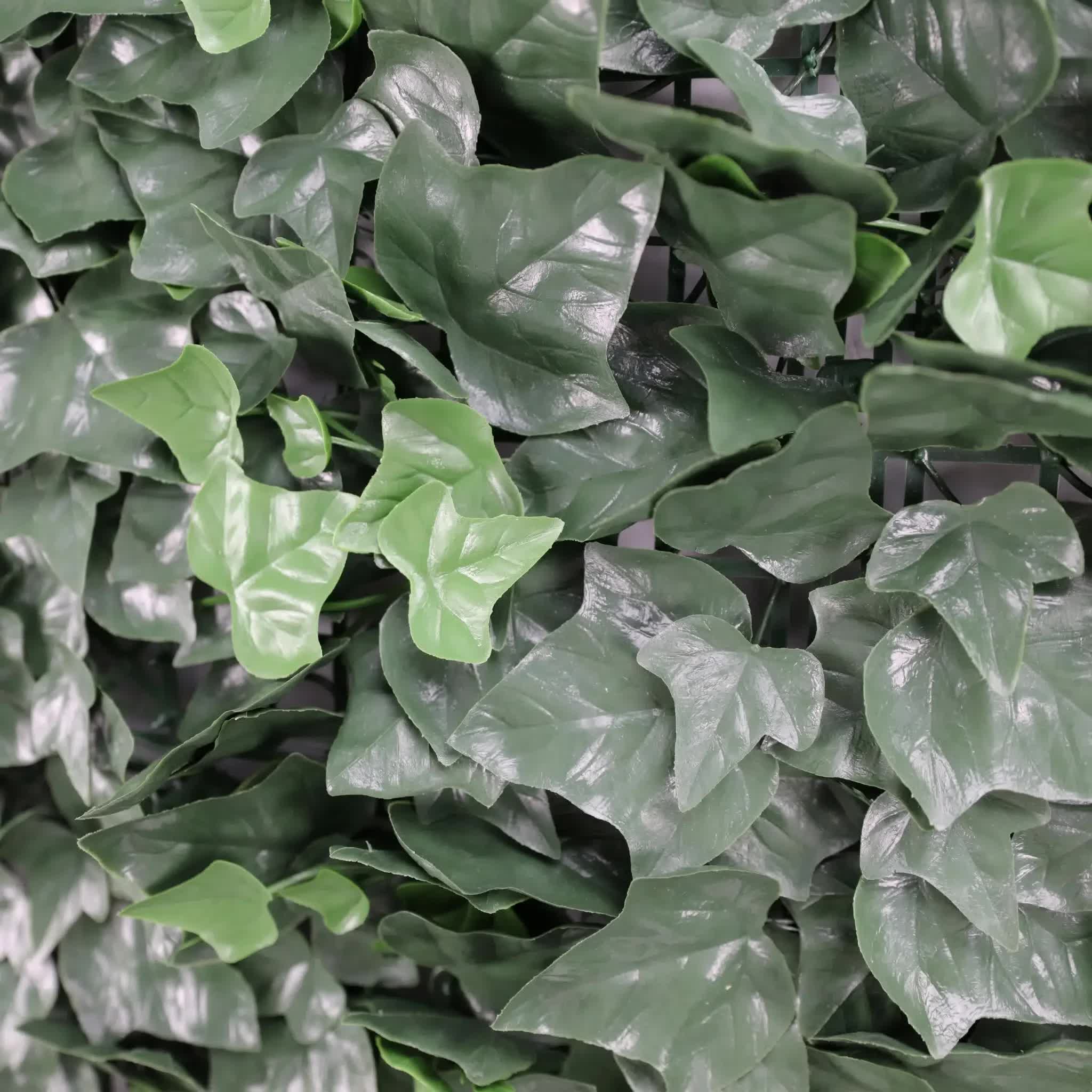 Caravan Accessories: Boston Ivy Leaf Screen Green Wall Panel UV Resistant 1m x 1m