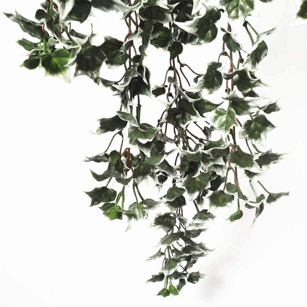 Artificial Trees: Mixed Green and White Tipped Ivy Bush 80cm UV Resistant