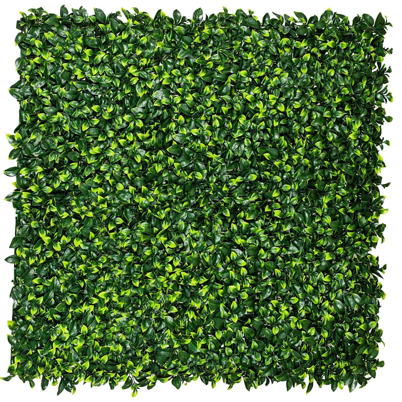 Caravan Accessories: Jasmine Hedge Screen Green Wall Panel UV Resistant 100cm x 100cm