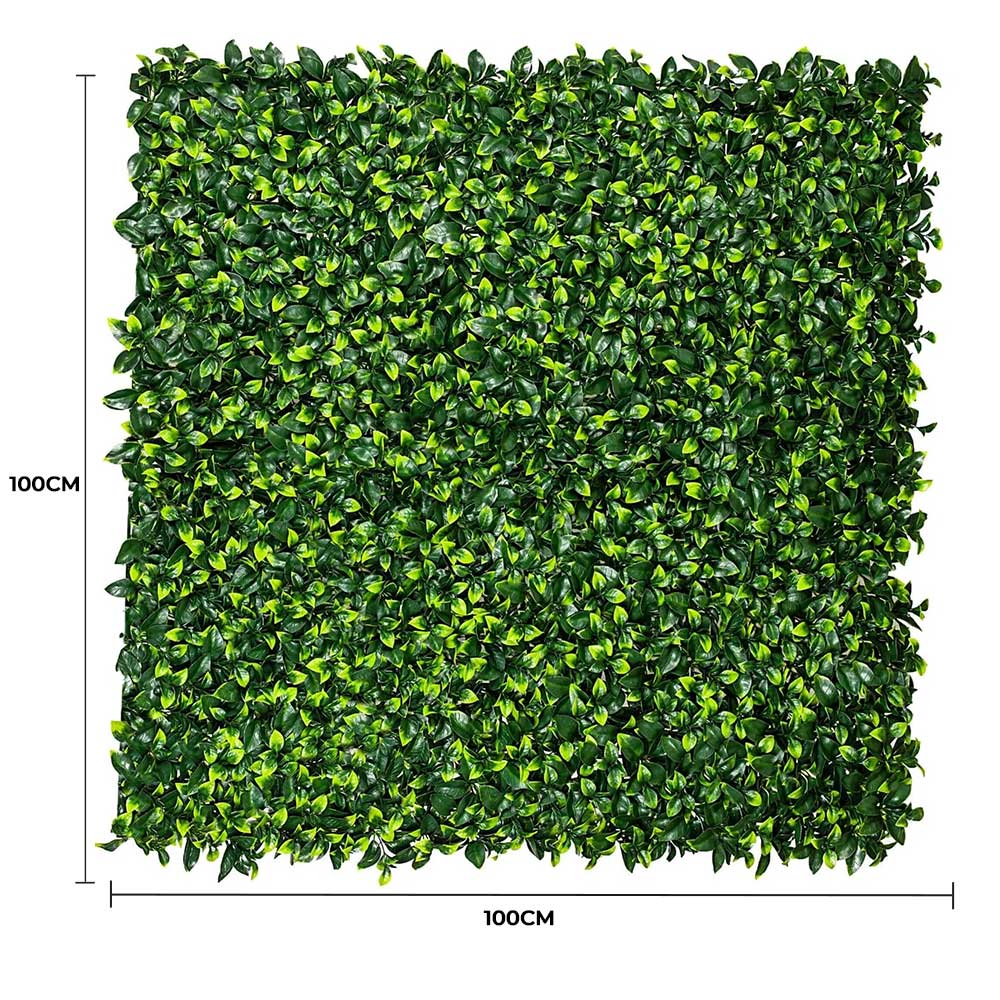 Caravan Accessories: Jasmine Hedge Screen Green Wall Panel UV Resistant 100cm x 100cm