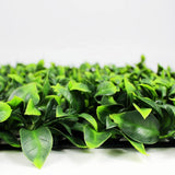 Caravan Accessories: Jasmine Hedge Screen Green Wall Panel UV Resistant 100cm x 100cm